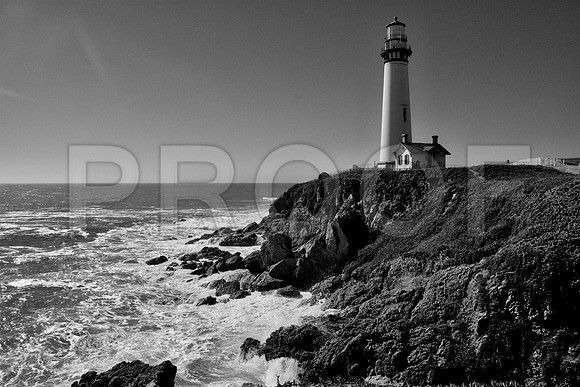 pigeon point lighthouse B&W