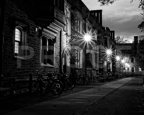 Princeton University