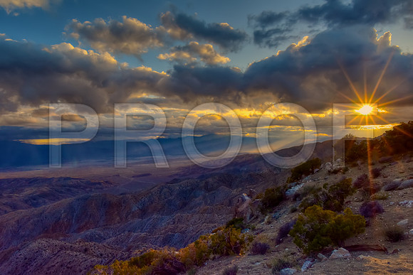 Joshua Tree National Park