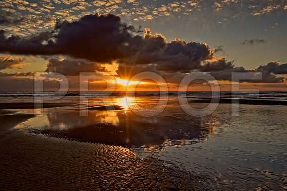 Torrey Pines State Beach