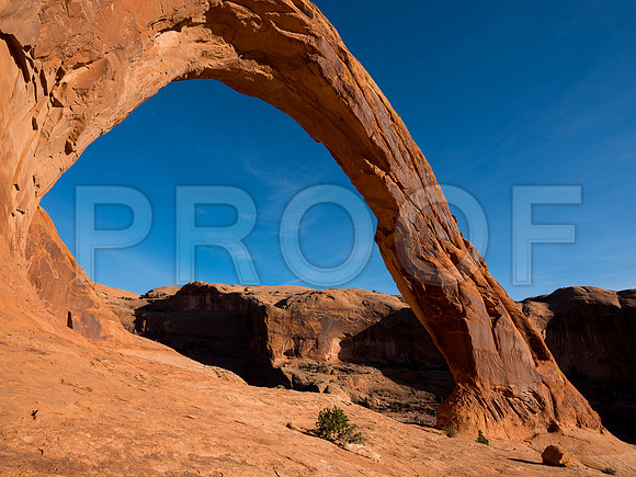 Coronado Arch