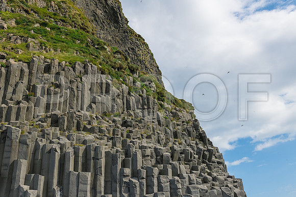tiny puffin on cliff with basalt columns