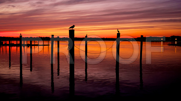 belmar, nj